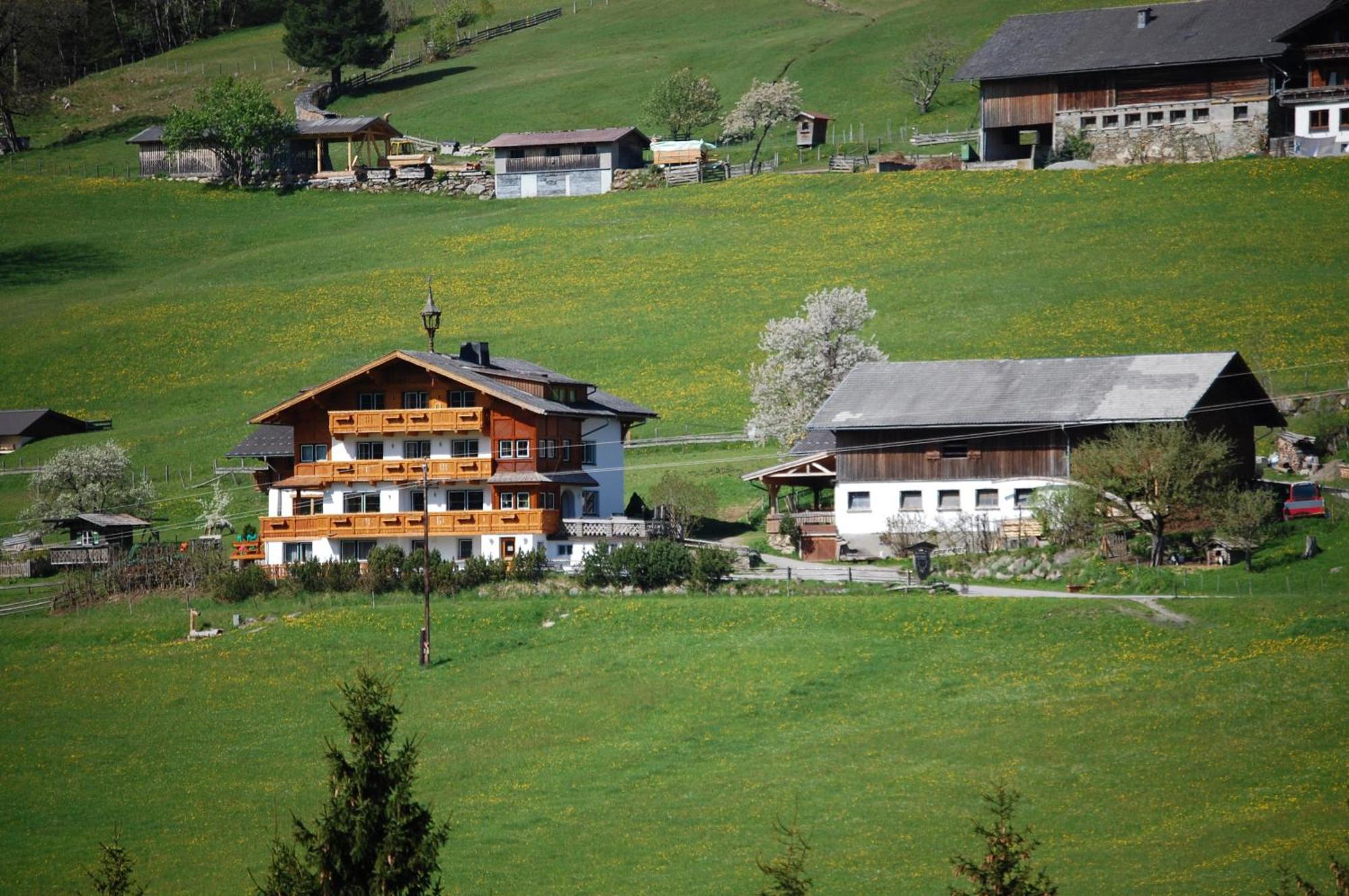 Villa Hocheggerhof - Urlaub Am Bauernhof Schladming Exterior foto